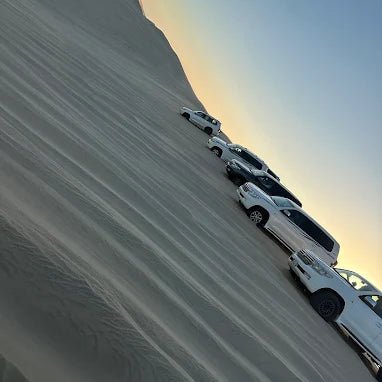 Doha: Desert Safari with Dune Bashing and Inland Sea Tour
