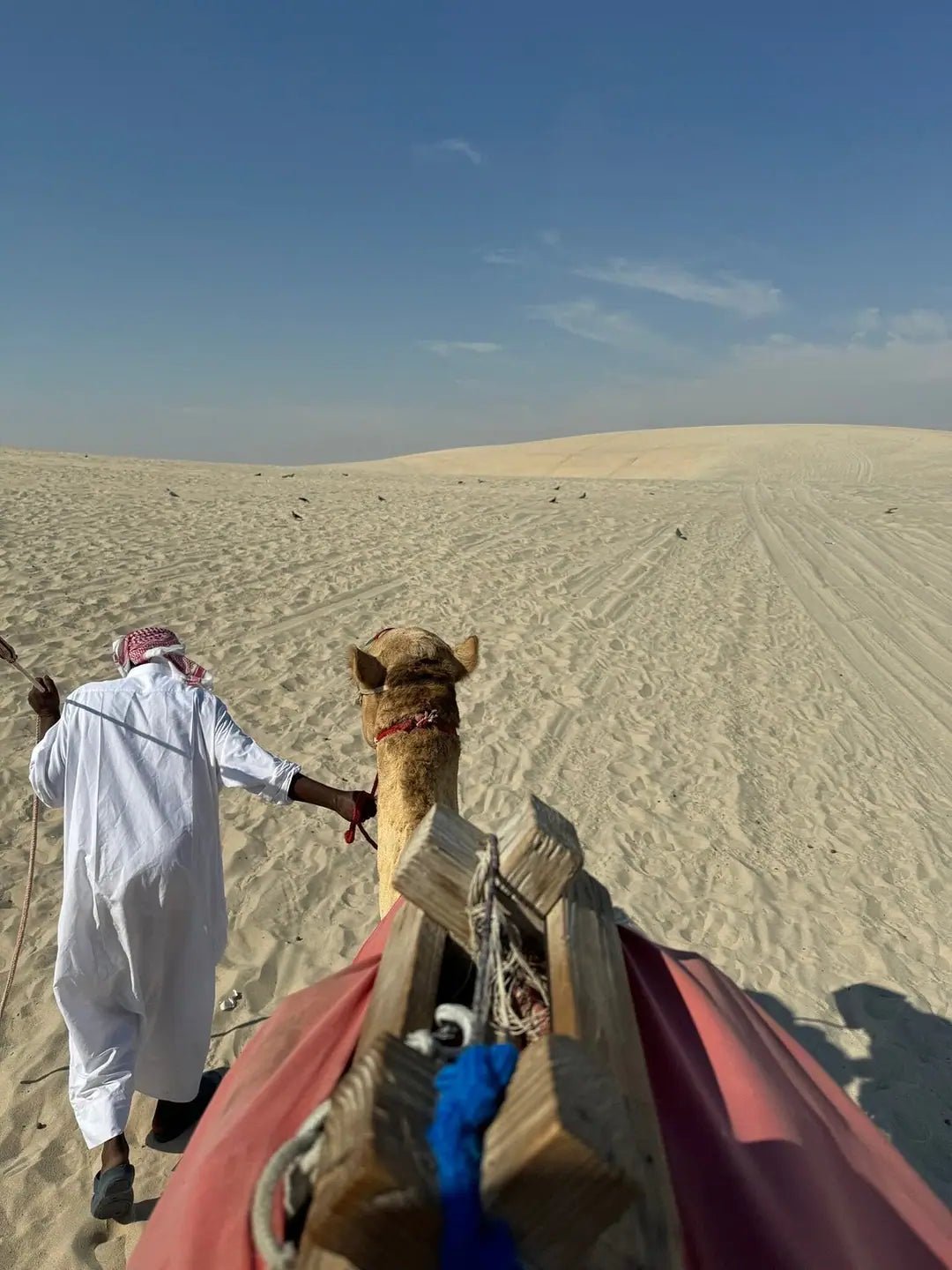 Doha: Desert Safari with Dune Bashing and Optional Quad Bike or Camel Ride