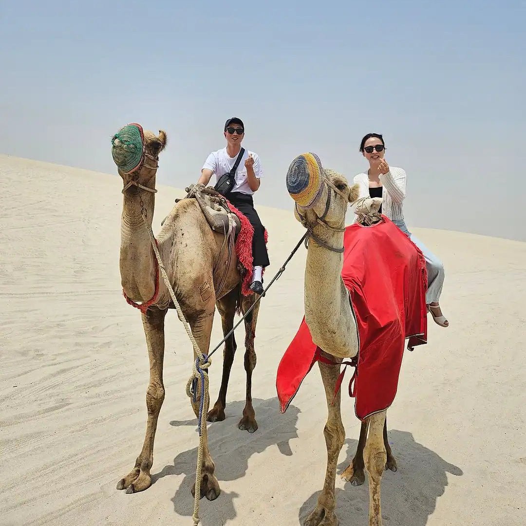 Doha: Desert Safari with Dune Bashing and Optional Quad Bike or Camel Ride