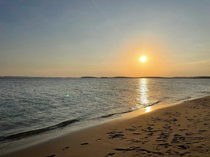 Doha: Desert Safari with Dune Bashing and Optional Quad Bike or Camel Ride