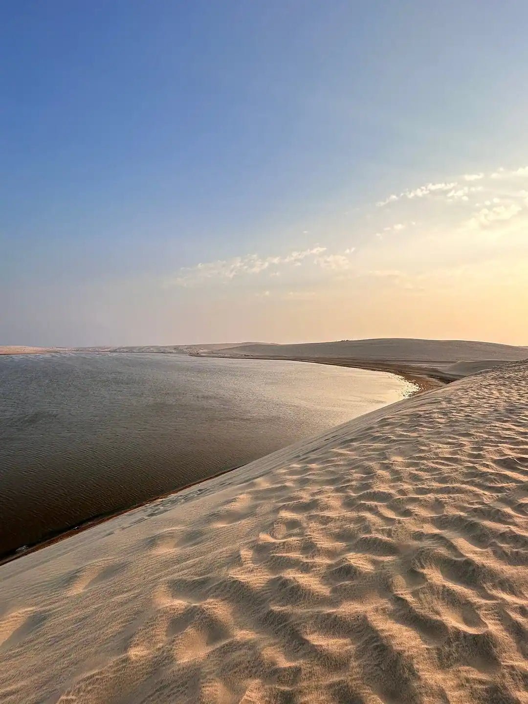 Doha: Desert Safari with Dune Bashing and Optional Quad Bike or Camel Ride