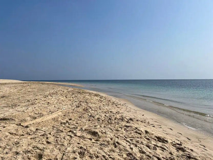 Doha: Desert Safari with Dune Bashing and Optional Quad Bike or Camel Ride