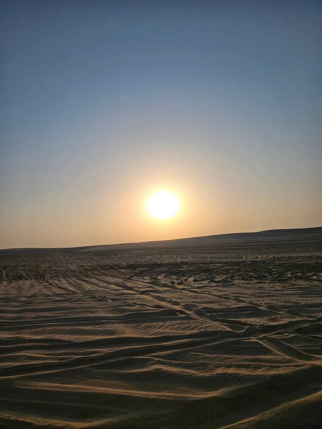 Doha: Desert Safari with Dune Bashing and Optional Quad Bike or Camel Ride