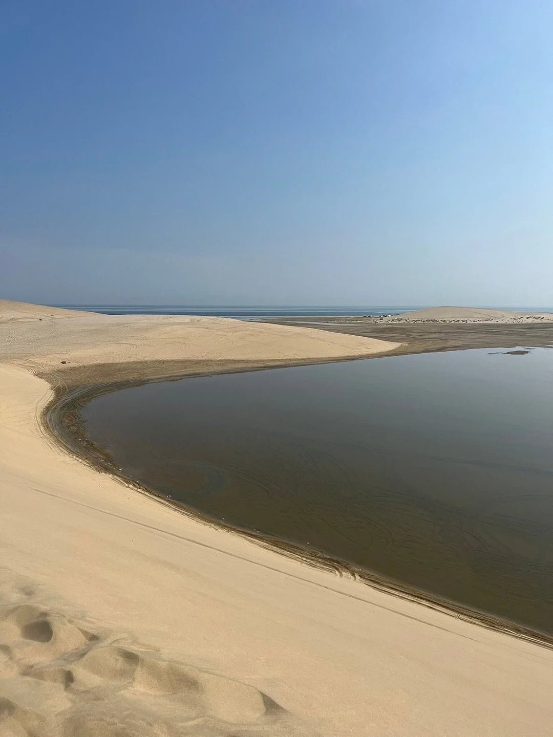 Doha: Desert Safari with Dune Bashing and Optional Quad Bike or Camel Ride