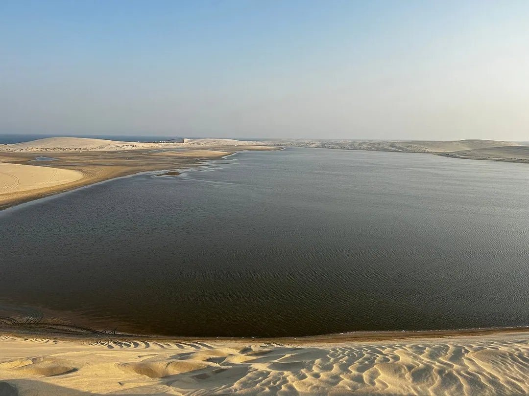 Doha: Desert Safari with Dune Bashing and Optional Quad Bike or Camel Ride