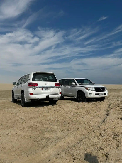 Doha: Desert Safari with Dune Bashing and Optional Quad Bike or Camel Ride
