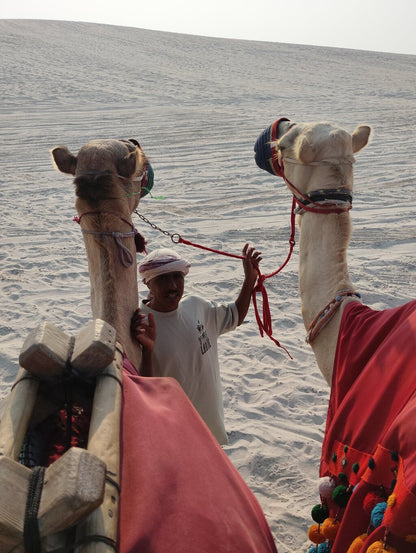 Doha: Desert Safari with Dune Bashing and Sandboarding