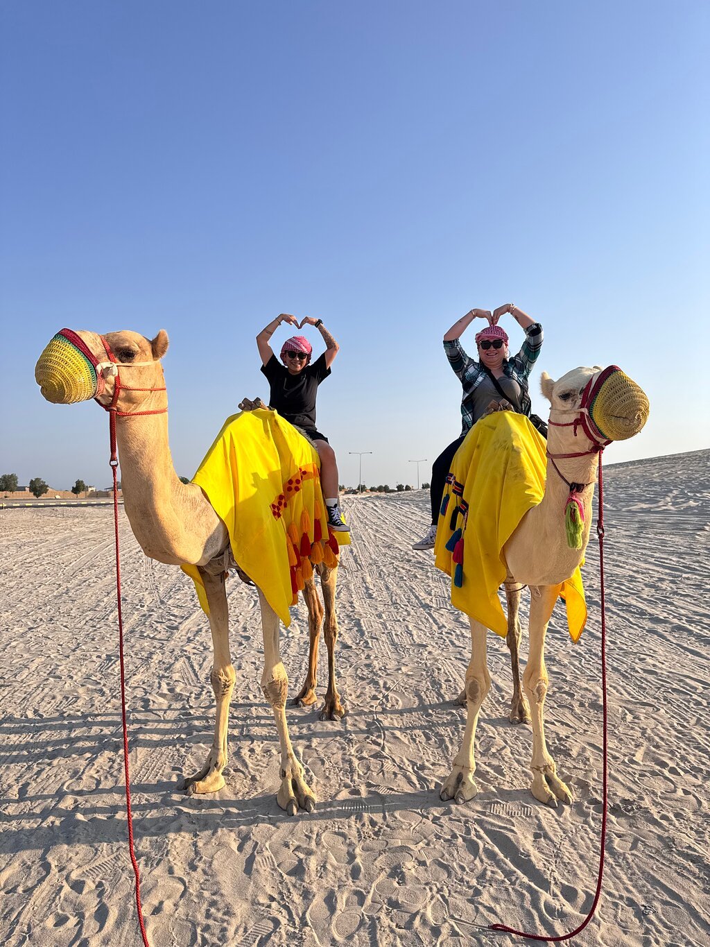 Doha: Desert Safari with Dune Bashing and Sandboarding
