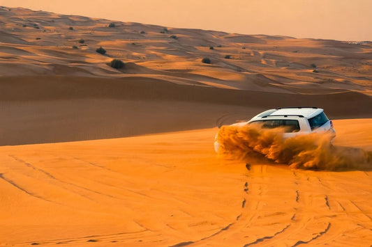 Doha: Desert Safari with Dune Bashing, Camel Ride and Inland Sea Tour