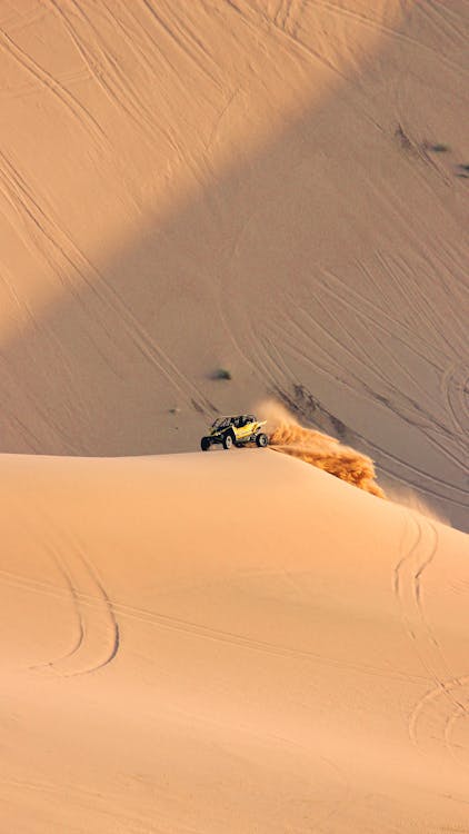 Doha: Desert Safari with Dune Bashing, Camel Ride and Inland Sea Tour
