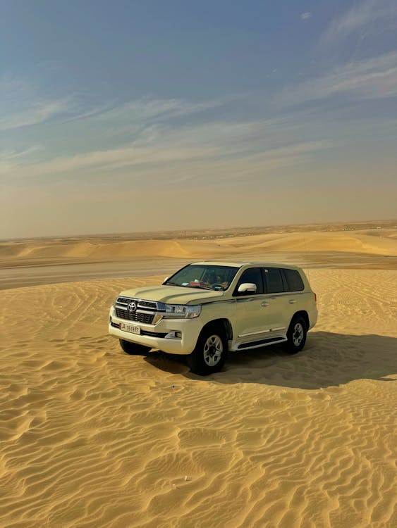 Doha: Desert Safari with Dune Bashing, Camel Ride and Inland Sea Tour