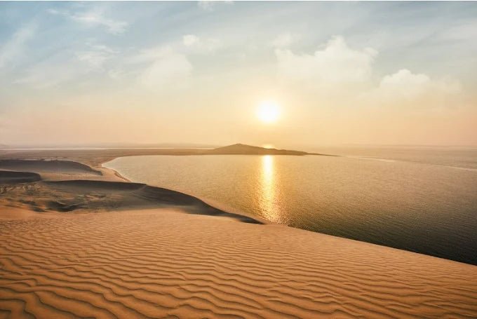 Doha: Desert Safari with Dune Bashing, Camel Ride and Inland Sea Tour