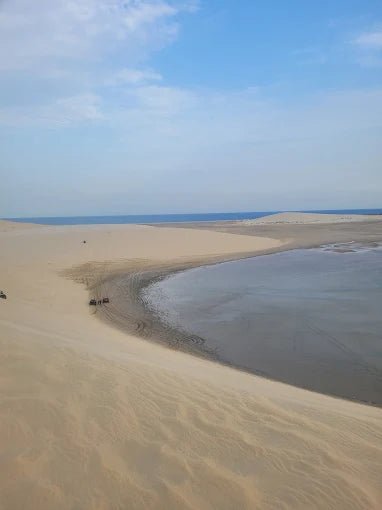 Doha: Desert Safari with Dune Bashing, Camel Ride and Sandboarding