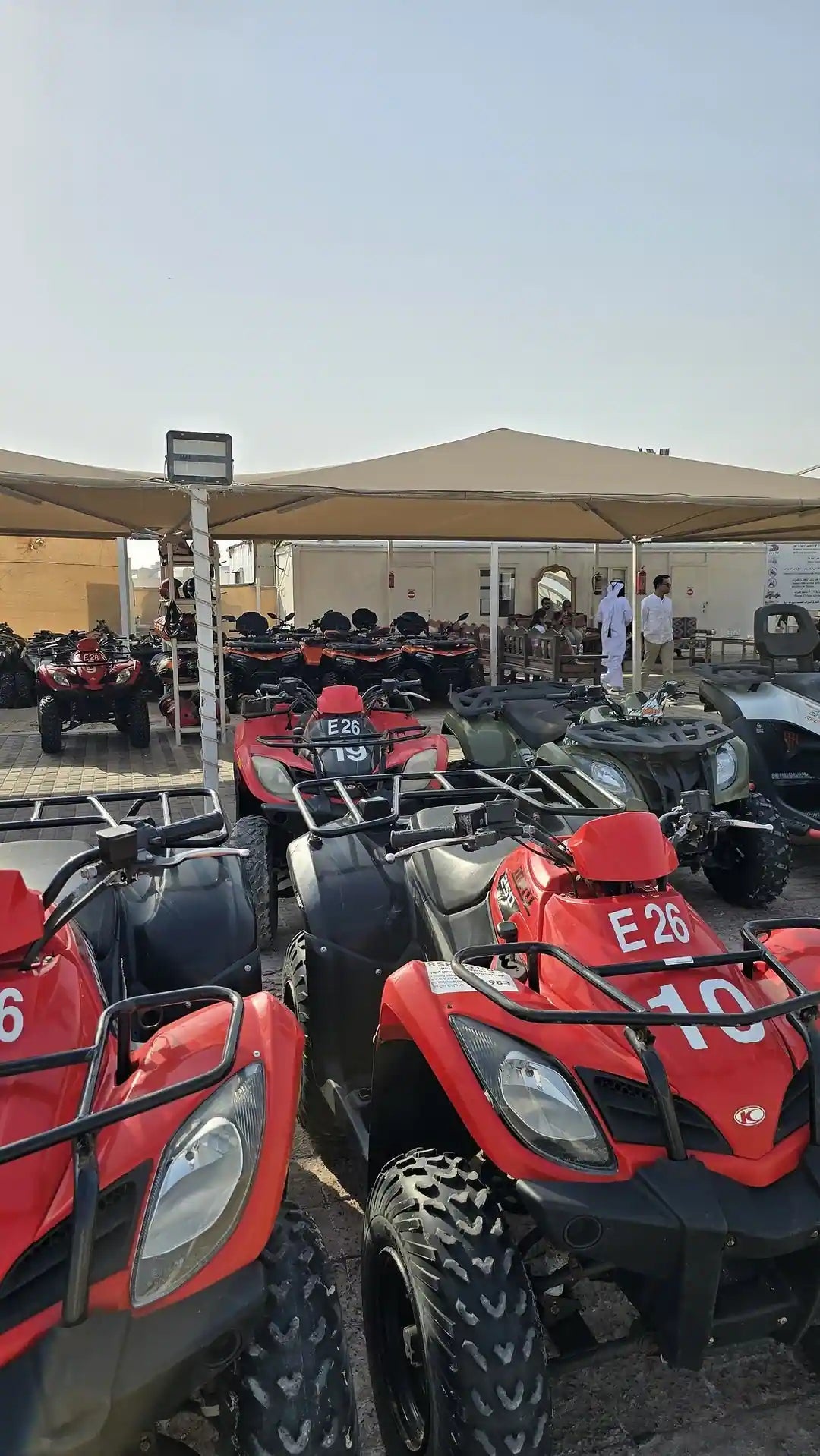 Doha: Desert Safari with Dune Bashing, Camel Ride and Sandboarding