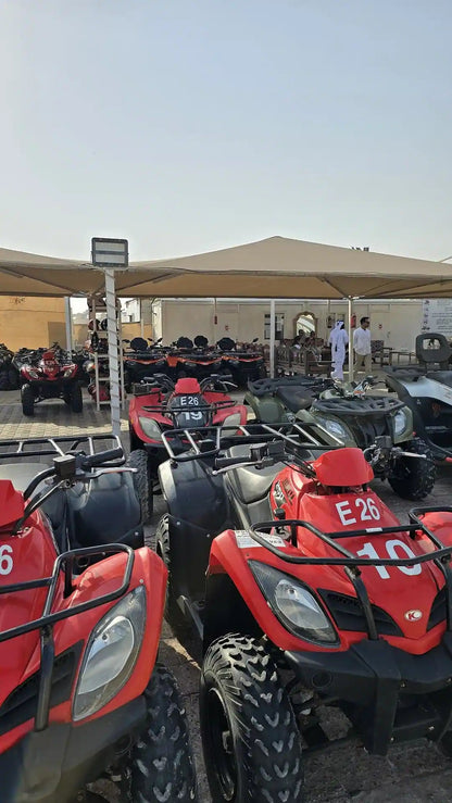 Doha: Desert Safari with Dune Bashing, Camel Ride and Sandboarding