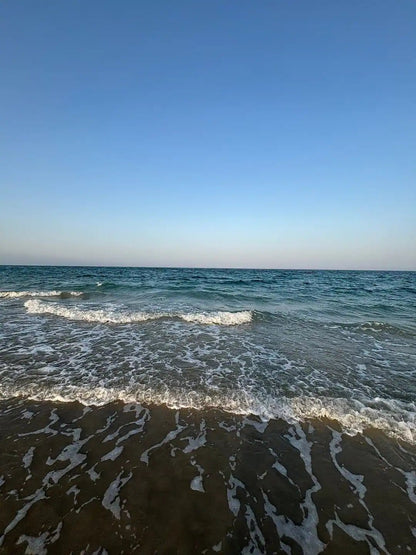 Doha: Desert Safari with Dune Bashing, Camel Ride and Sandboarding