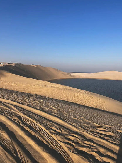 Doha: Desert Safari with Dune Bashing, Camel Ride and Sandboarding
