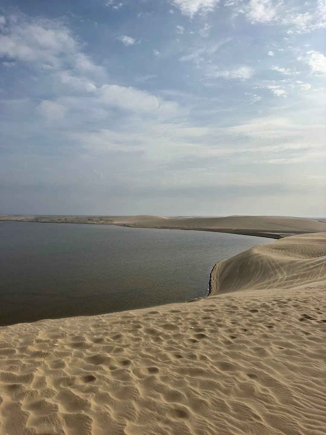Doha: Desert Safari with Dune Bashing, Camel Ride and Sandboarding