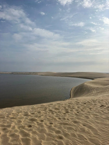 Doha: Desert Safari with Dune Bashing, Camel Ride and Sandboarding