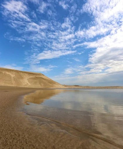 Doha: Desert Safari with Dune Bashing, Camel Ride and Sandboarding