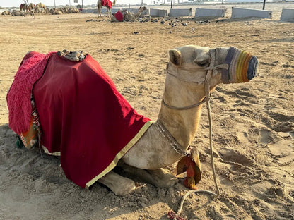 Doha: Desert Safari with Dune Bashing, Sandboarding, and Inland Sea Visit