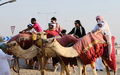 Doha: Desert Safari with Dune Bashing, Sandboarding, and Inland Sea Visit