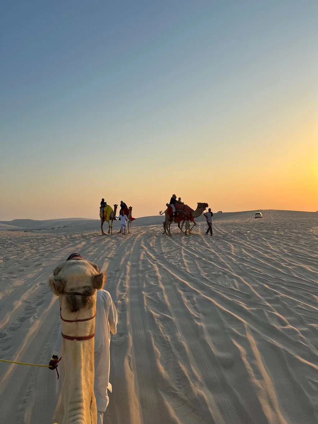 Doha: Desert Safari with Quad Bike, Dune Bashing and Inland Sea Visit