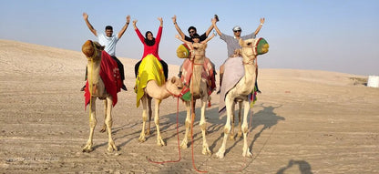Doha: Desert Safari with Quad Bike, Dune Bashing and Inland Sea Visit