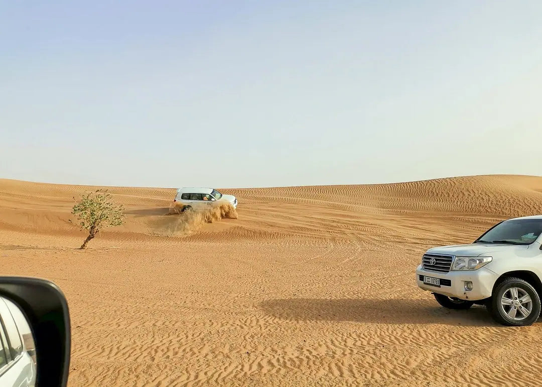 Doha: Desert Safari with Quad Bike, Dune Bashing and Inland Sea Visit