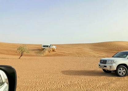 Doha: Desert Safari with Quad Bike, Dune Bashing and Inland Sea Visit