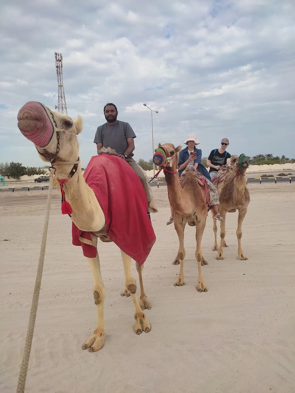 Doha: Desert Safari with Quad Bike, Dune Bashing and Inland Sea Visit