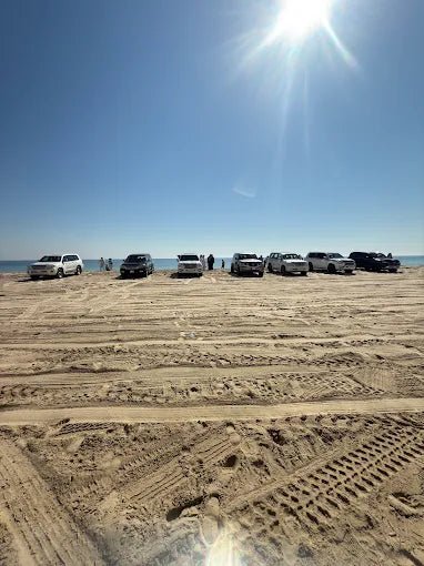 Doha: Desert Safari with Quad Bike, Dune Buggy or Camel Ride