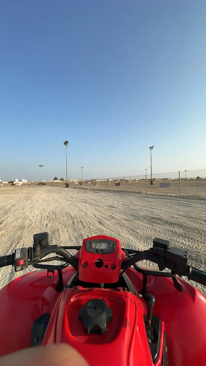 Doha: Desert Safari with Quad Bike, Dune Buggy or Camel Ride