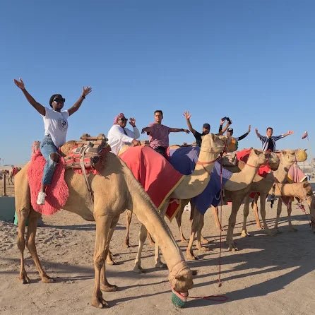 Doha: Desert Safari with Quad Bike, Dune Buggy or Camel Ride