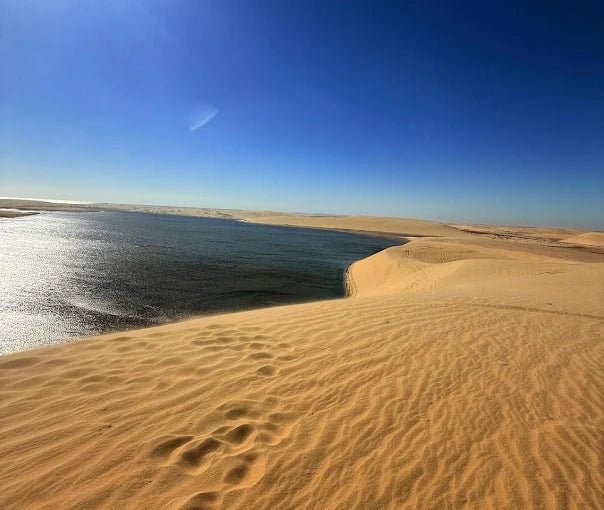 Doha: Desert Safari with Quad Bike, Dune Buggy or Camel Ride