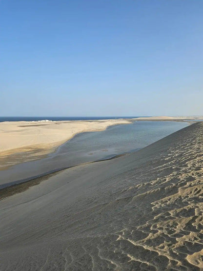 Doha: Desert Safari with Quad Bike, Dune Buggy or Camel Ride