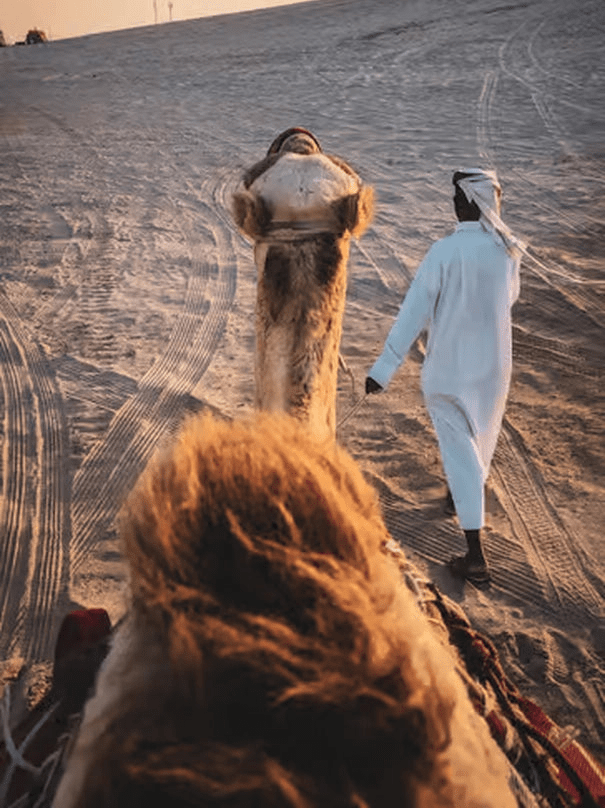 Doha: Desert Safari with Quad Bike, Dune Buggy, Sandboarding and Camel Ride