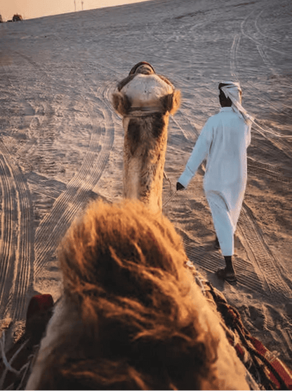 Doha: Desert Safari with Quad Bike, Dune Buggy, Sandboarding and Camel Ride