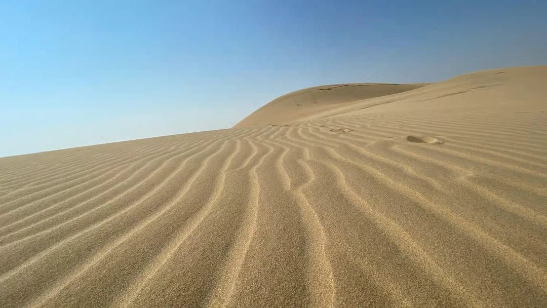 Doha: Desert Safari with Quad Bike, Dune Buggy, Sandboarding and Camel Ride