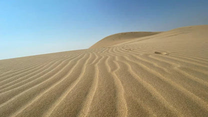 Doha: Desert Safari with Quad Bike, Dune Buggy, Sandboarding and Camel Ride