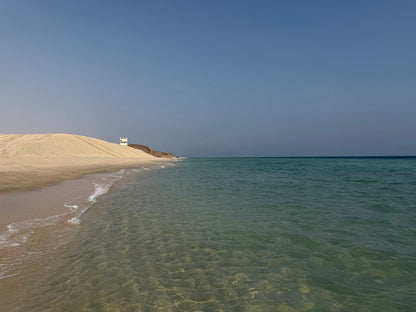 Doha: Desert Safari with Quadbike, Dune Bashing and Inland Sea Visit