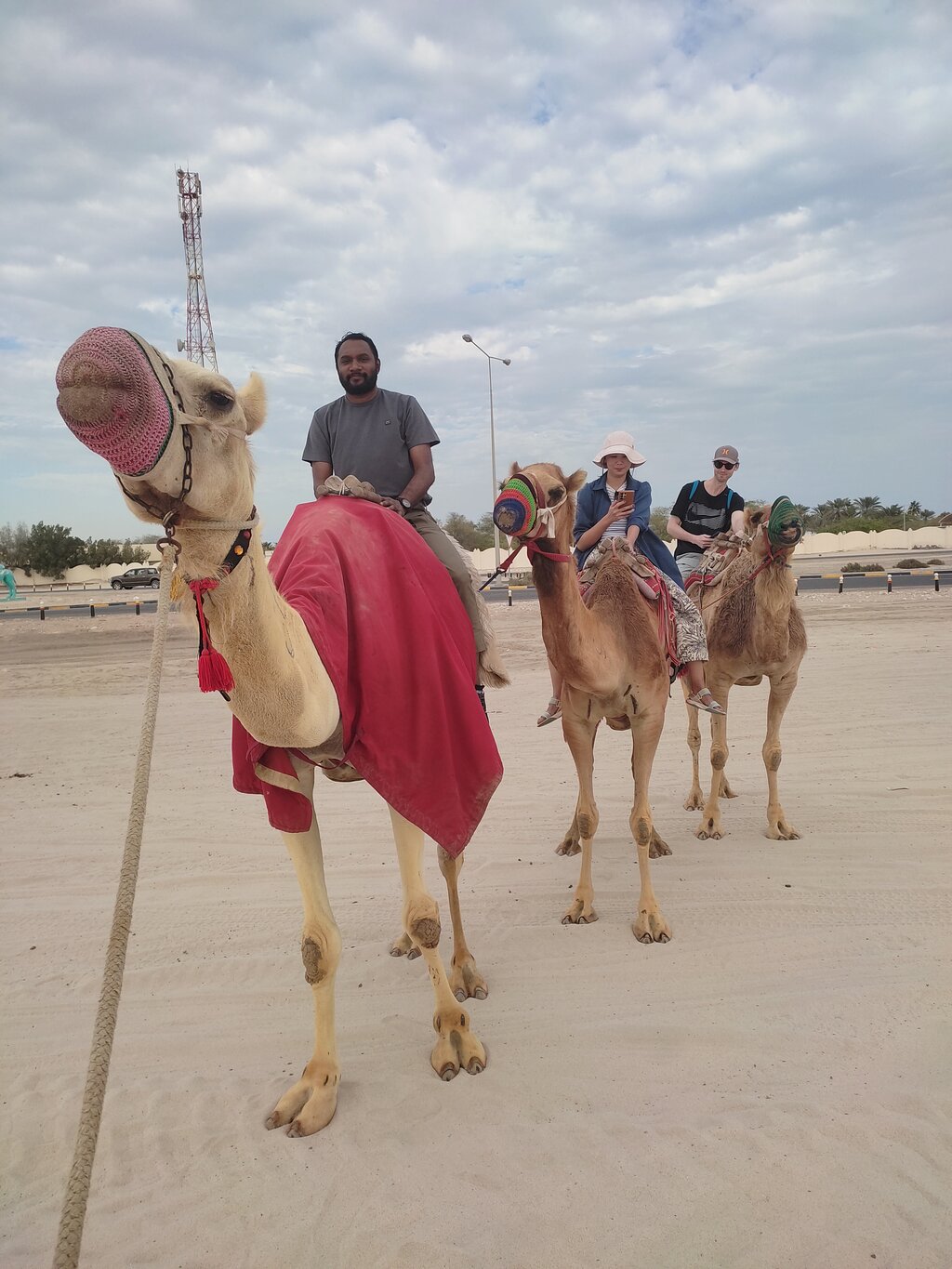 Doha: Desert Safari with Quadbike, Dune Bashing and Inland Sea Visit