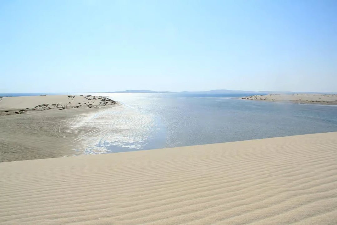 Doha: Desert Safari with Sandboarding, Inland Sea visit and Optional Camel Ride