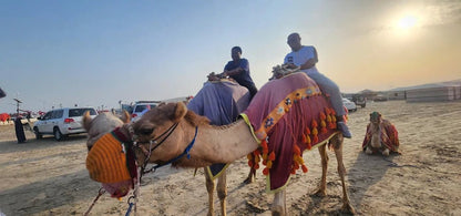 Doha: Desert Safari with Sandboarding, Inland Sea visit and Optional Camel Ride