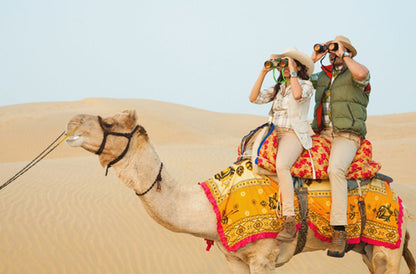Doha: Family - Friendly Desert Safari Tour with Camel Ride and Falconry
