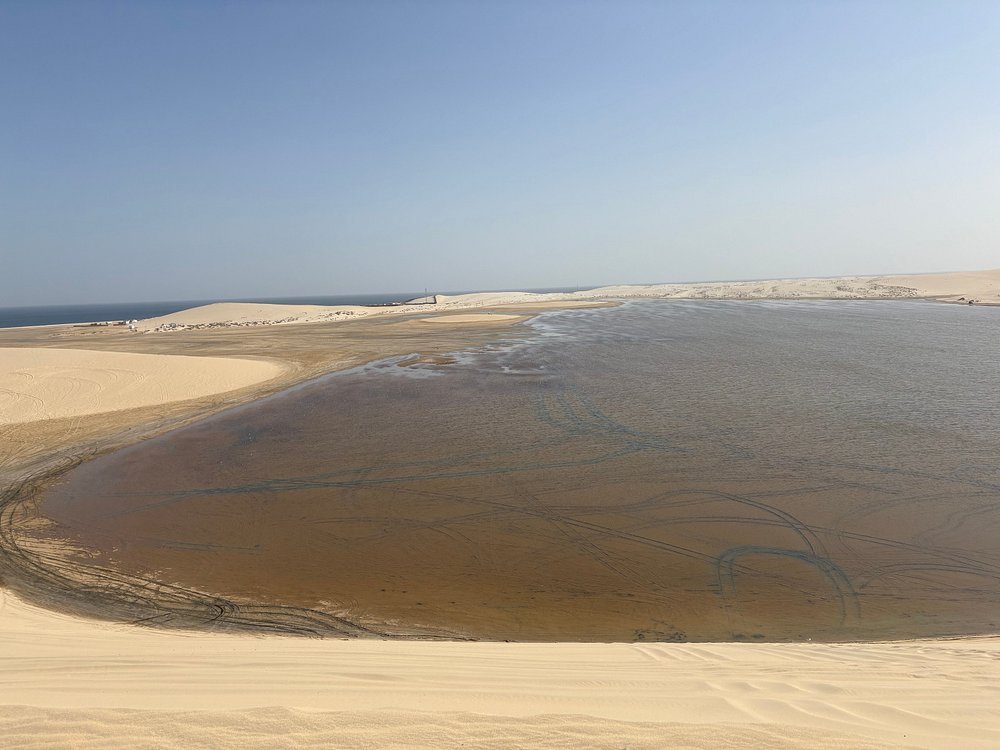 Doha: Full - Day Desert Safari with Camp Access, Camel Ride, and Buffet Dinner