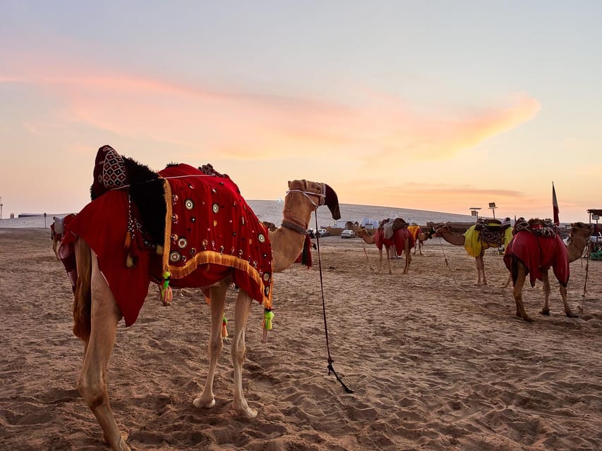 Doha: Full - Day Desert Safari with Camp Access, Camel Ride, and Buffet Dinner