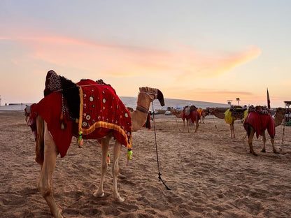 Doha: Full - Day Desert Safari with Camp Access, Camel Ride, and Buffet Dinner