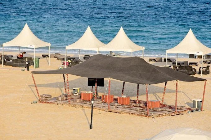 Doha: Full - Day Desert Safari with Camp Access, Camel Ride, and Buffet Dinner