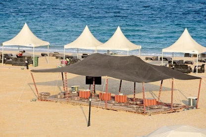 Doha: Full - Day Desert Safari with Camp Access, Camel Ride, and Buffet Dinner